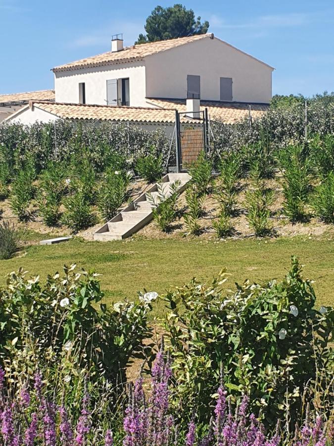 Onze Villa In Provence, Mont Ventoux, New Luxury Villa, Private Pool, Stunning Views, Outdoor Kitchen, Big Green Egg Malaucène Dış mekan fotoğraf